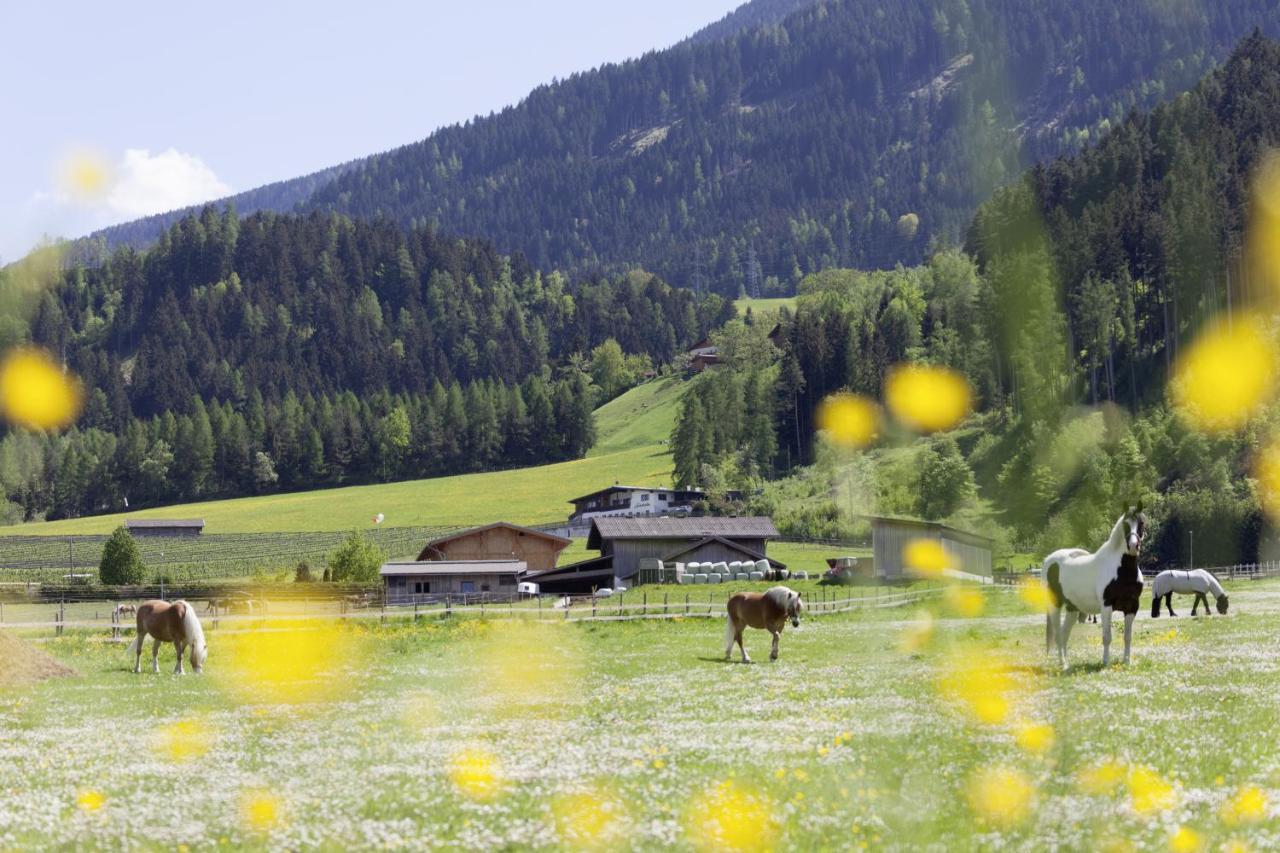 Апартаменты Roslerhof Инцинг Экстерьер фото